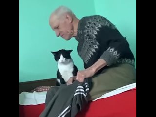 video очень душевно и трогательно sex