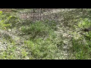 video поймал хулиганку и получил награду от неё в заброшенном здании японки короткие ролики молоде sex