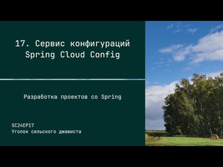 video sc24ep17 сервис конфигураций spring cloud config разработка проектов со spring sex