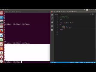 video shell scripting tutorial for beginners 18 until loop sex