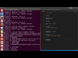video shell scripting tutorial for beginners 26 readonly command sex