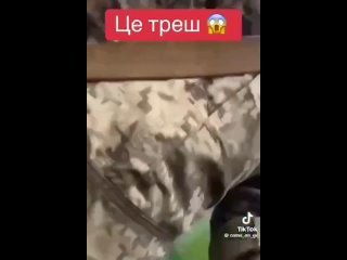 video очередное душераздирающее видео из украины появилось в сети sex