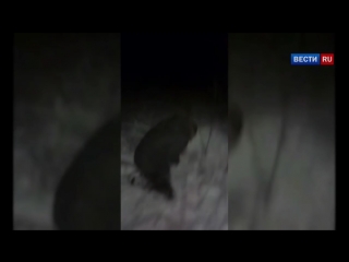video воронежские охотники за головами отрезали палец закладчику за воровство молодые sex