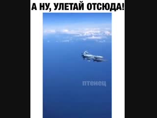 video в сети появилось видео красивого маневра су 27 россии самолет жестко отогнал истребитель нато подошедший слишком sex