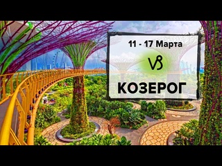 video козерог 11 17 марта 2024 расклад таро на неделю для знака зодиака козерог sex