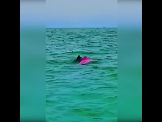 video просто невероятное чудо sex