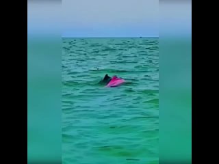 video просто невероятное чудо sex