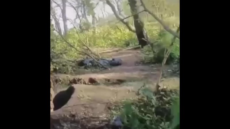 video российский боец взорвал гранату чтобы не попасть в плен sex
