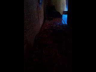 video соседка шлюха тупая проснулась началось недотрах веселье дикий орет как хочет sex