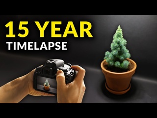 video я снимал растения на протяжении 18 лет подборка покадровой съемки i filmed plants for 18 years time lapse sex