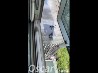 video 勾引两个篮球体育生玩双龙 完整版视频 e8ukg9 5 mp4 sex