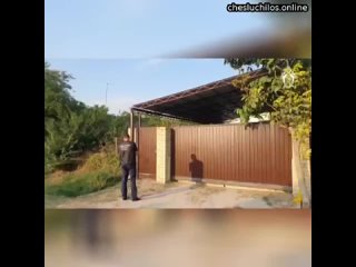 video в краснодарском крае мать закладчица вонзила нож в грудь 3 месячного малыша а затем попыталась свес sex