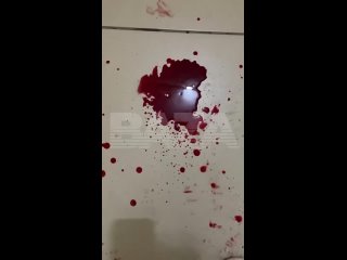 video в екатеринбурге женщина поссорилась в сети с супружеской парой во время обсуждения видео с уличной дракой и это sex