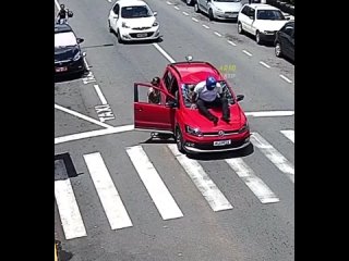 video водитель авто решил пропустить бедную собачку на пешеходном переходе но мотохруст оказался не внимательным и sex