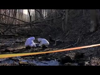 video раскрыть идеальное преступление sex