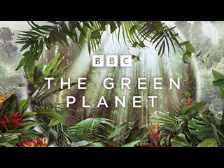 video bbc зелёная планета bbc the green planet 1 серия тропические миры 2022 1080p sex