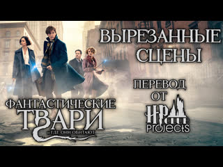 video фантастические твари вырезанные сцены sex