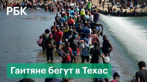 video расплодившиеся бездарные негры неспособные организовать жизнь у себя в стране бегут за подачкой к ненавистным sex