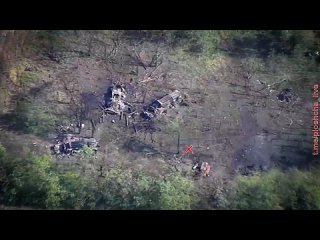 video украинские воины уничтожили московитскую военную технику спрятанную в лесополосе sex