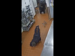 video вероятность того что на вас нападет медведь в супермаркете мала но не равна нулю sex