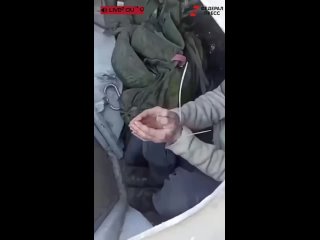 video в соцсетях появилось видео на котором дагестанцы взяли в плен американского наемника и побили его тапком sex