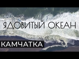 video ядовитый океан документальный фильм о крупнейшей экологической катастрофе на камчатке sex