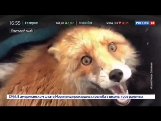 video программа мобильный репортер от 20 марта 2018 года sex