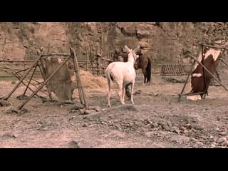 video повелитель зверей beastmaster сезон 1 серия 21 sex
