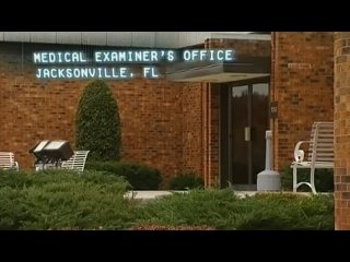 video discovery служба криминальных расследований вмс the real ncis 2009 серия 2 sex