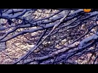 video день космических историй морские дьяволы 7 серия 2012 sex