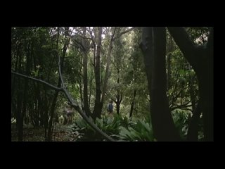 video алмазы килиманджаро сокровища белой богини les diamants du kilimandjaro el tesoro de la diosa blanca хесус франко sex