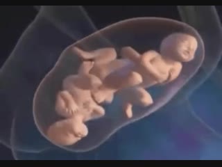 video экстракорпоральное оплодотворение sex