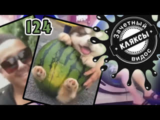 video живой арбуз зачётный видос кляксы 124 sex