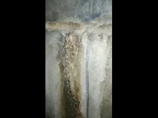 video видео от орлец свободная орловская энциклопедия sex
