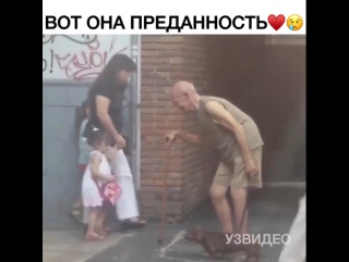 video собачка рада сопровождать своего престарелого хозяина sex