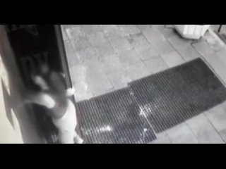 video в питере женщина таролог избила учительницу которая поставила ее дочери тройку sex