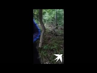 video работайте братья смерть магомеда нурбагандова полное видео sex