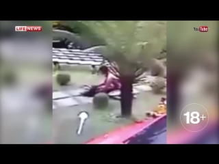 video жестокое молодые известной бразильской танцовщицы sex