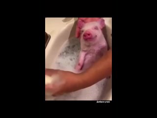 video то что мне сейчас действительно нужно sex