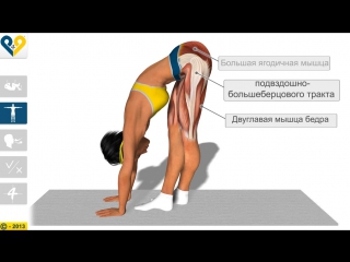 video sls растяжение мышц подвздошно большеберцового тракта sex