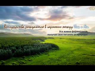 video китайская мудрость в изложении си цзиньпина серия 5 все существа рождаются в гармонии между инь и ян все живое sex