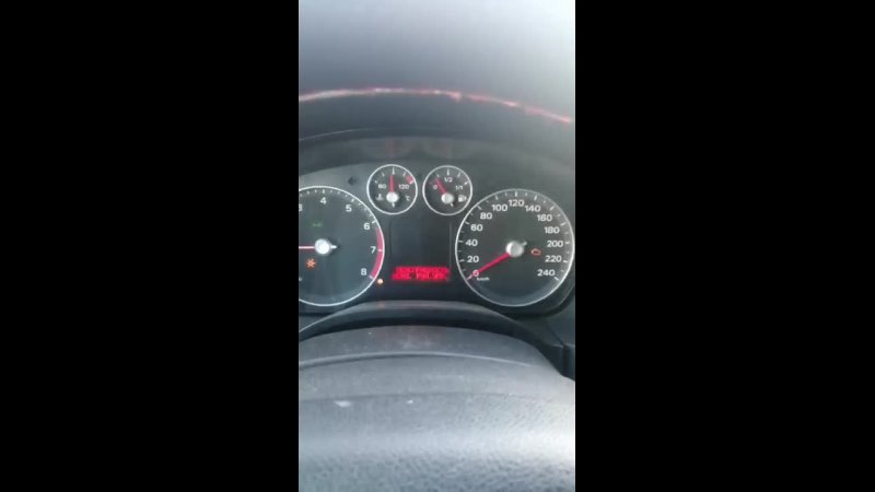video pornleegotti vid 20210426 074337 mp4 sex