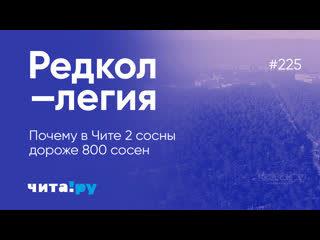 video невероятно но факт в чите две сосны дороже 800 сосен sex