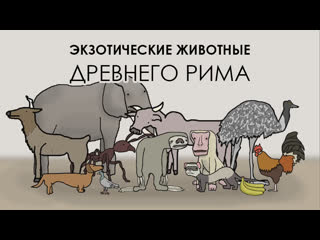 video экзотические молодые древнего рима академия сэма онеллы sex