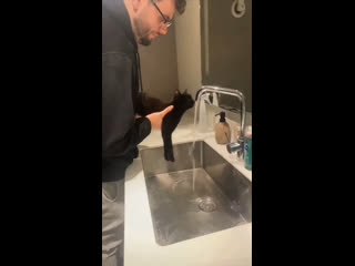 video видео приколы шерстяной хозяин желает пить двуногий раб выполнять sex