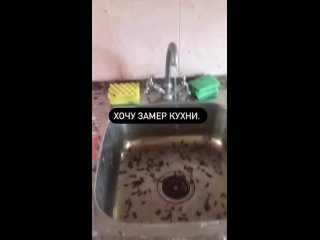 video бабушка собралась сдавать квартиру с интересными соседями sex