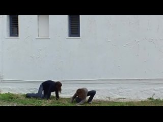 video сэр дэвид аттенборо сэр дэвид аттенборо sex