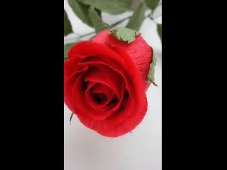 video реалистичные розы из гофрированной бумаги sex