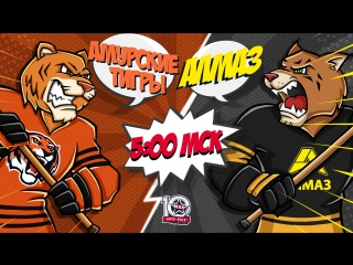 video порно live амурские тигры алмаз 0500 sex