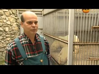 video секретные территории потерянный дар предков sex